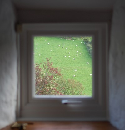 窓から羊.jpg